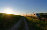 Impression mit 402 026  Lutherstadt Wittenberg  als ICE 1232 (München Hbf - Kassel-Wilhelmshöhe) bei Wettelsheim, 05.08.2020