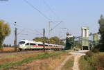 403 013-6  Treuchtlingen  und 406 084-4  Forbach-Lorraine  als ICE 103 (Hannover Hbf-Basel SBB) bei Friesenheim 19.9.20