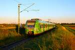 DB S-Bahn Rhein Main 423 391-2 am 26.09.23 auf der RB11 zwischen Frankfurt Höchst und Bad Soden als Aushilfe