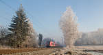 Vormittags am Neujahrstag 2017 konnte 423 089-2 als S2 nach Altomünster bei schönstem Rauhreif in Poing fotografiert werden.