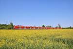 DB Regio 425 xxx und 425 xxx am 04.05.18 bei Frankfurt am Main Mainkur auf den Weg in Richtung Hanau