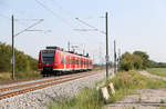 DB Regio 425 215 // Böhl-Iggelheim // 22.