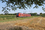 DB Regio 425 202  Neustadt an der Weinstraße  // Böhl-Iggelheim // 17.