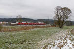 RB 58120 (Treuchtlingen - Würzburg Hbf) bei Oberdachstetten, 31.01.2021