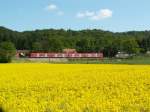 425 als RB am 23.05.10 auf dem Weg Richtung Saarbrcken zwischen Limbach und Kirkel.