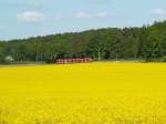 425 als RE am 23.05.10 auf dem Weg Richtung Kaiserslautern zwischen Kirkel und Limbach.