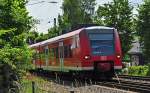 Pltzlich taucht er aus der  grnen Hlle  auf, der 425 603-8 bei Roisdorf - 25.06.2010