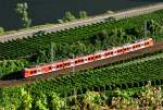 BR 425 nach Koblenz im Moseltal bei Winningen - 05.09.2011