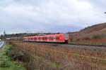 Ein 425ziger als RB44 nach Mainz, hier ist er zwischen Nierstein und Nackenheim am Sonntag den 16.12.2012 zu sehen bei regnerischem Wetter...