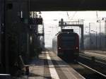 Ein Quietschie am Morgen des 11.03.2007 in Mannheim Friedrichsfeld.