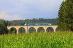 Am 21.08.2014 fährt ein unbekannter Flirt als RB 72 Herford-Paderborn über den kleinen Viadukt bei Altenbeken.