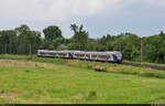 427 148-2 (427 057) und 427 136-7 (427 002 | Stadler FLIRT) streben bei Friedland (Niedersachsen) Richtung Eichenberg, wo sie wieder getrennte Wege gehen.