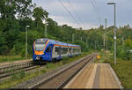 Mit dem Fahrrad von Kassel nach Halle (Saale) | Tag 1 Kassel–Witzenhausen
Strecken-km: 175,6

427 647-3 (427 556 | Stadler FLIRT) kommt ein paar Minuten später im Bahnhof Witzenhausen Nord auf Gleis 2 an.

🧰 cantus Verkehrsgesellschaft mbH
🚝 RB 24029 (RB83) Göttingen–Kassel Hbf [+5]
🕓 15.8.2022 | 18:42 Uhr