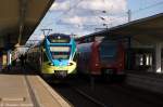 ET 006 (427 114-4) & ET 012 (427 120-1) WFB - WestfalenBahn GmbH als Sonderzug (SDZ 25710) von Wolfsburg Hbf nach Bielefeld Hbf und Rheine.