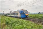 428 553 Cantus ist am 10.06.2020 nach Bebra unterwegs,gesehen bei Reilos.