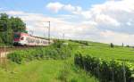 VIAS 414 als VIA 25012 von Frankfurt (M) Hbf nach Neuwied, am 07.07.2012 im Rheingau bei Hattenheim.