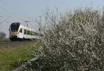 Der Frühling drängt sich mit aller Macht ins Bild, hier am 27.03.2020 bei Boisheim mit dem ET 7.14 der Eurobahn