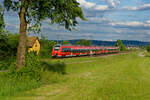 442 765 als S3 (Neumarkt (Oberpf) - Nürnberg Hbf) bei Postbauer-Heng, 27.05.2020