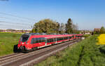 442 278 und 442 114 als RB 15105 / RB 15005 (Dillenburg / Treysa – Frankfurt(Main)Hbf) bei Kirch Göns 3.5.23  