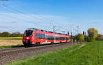 442 286	als RB 15009 (Treysa – Frankfurt(Main)Hbf) bei Niederwalgern 3.5.23  