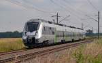 1442 202 war am 12.07.13 auf Probefahrt, als der Hamster durch Eilenburg Richtung Leipzig rollte.