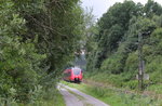 442 271 DB Regio bei Seehof am 10.08.2106.