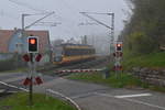 Am BÜ Hornberger Weg kommt im morgendlichen Nebel der AVG Triebwagen 927 als S41 nach Heilbronn Willi-Brandt-Platz durch Neckarzimmern .