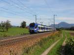 Der ET 315 als M nach München am 19.09.2014 unterwegs bei Straß.