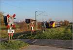 Coradia Continental 2 der HLB auf Abwegen bei Frankfurt. Die Strecke Hchst-Bad Soden wird trotz Elektrifizierung nur vorbergehend elektrisch bedient. Dezember 2018.