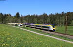 1440 175 und 1440 362 als S 9609/S 9809 (Breisach/Endingen-Seebrugg/Titisee) bei Hinterzarten 1.6.21