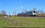 1442 671 (Bombardier Talent 2) fährt auf die Herrenkrug-Eisenbahnbrücke in Magdeburg zu.