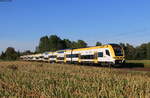 1462 008 und 1462 007 als RE RE 5339 (Karlsruhe Hbf-Basel SBB) bei Riegel 23.9.21