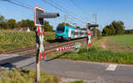 ET 4.01 als RB 20372 (Bielefeld Hbf - Hengelo) bei Gildehaus 15.9.23