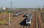 Während 9442 117 der Abellio den Bahnhof Bitterfeld Richtung Halle(S) verlässt, verlässt ein weiterer Triebwagen der S-Bahn Mitteldeutschland am 29.09.16 Bitterfeld in Richtung Leipzig.