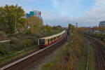 484 074 war am 11.11.2023 auf der Berliner S41 unterwegs. Auf seiner Runde über den Ring hat der Zug den Bahnhof Storkower Straße hinter sich gelassen und wird in Kürze die Station Landsberger Allee erreichen.