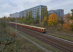 485 038 war am 11.11.2023 an der Spitze eines Dreiviertelzuges auf der Linie S85 vom Pamkow nach Schöneweide unterwegs. In Kürze erreicht der Zug den Bahnhof Landsberger Allee.