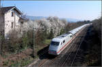 Der Frühling kommt ins Remstal und mit ihm die ICEs -

Umgeleiteter ICE 1 in Fahrtrichtung Stuttgart bei Kernen-Rommelshausen.

23.03.2019 (M)