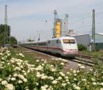 401 xxx als ICE 871 (Berlin Ostbf–Basel SBB) am 09.05.2011 in Friesenheim (Baden)