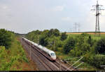 Nachschuss auf zwei 403 als ICE 519 (Linie 42) von Dortmund Hbf nach München Hbf, die die Überleitstelle (Üst) Markgröningen Glems auf der Schnellfahrstrecke Mannheim–Stuttgart (KBS 770) passieren.
Aufgenommen von einer Brücke.
(Neubearbeitung)
[28.7.2019 | 16:02 Uhr]