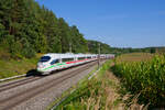403 032 DB Fernverkehr  Augsburg  als ICE 622 (München Hbf - Dortmund Hbf) bei Hagenbüchach, 08.09.2021