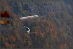 . Eine weiße Schlange windet sich durch den Wald - 

Geislinger Steige am 16.10.2011 (M)