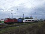 185 146 und ein unbekannter 403 am 18.11.06 in Biblis.