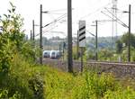 Zugkreuzung  auf der SFS Mannheim-Stuttgart bei Forst mit einem ICE4 (ICE 970 Stuttgart-Hamburg-Altona) sowie einem ICE Velaro D (ICE 513 Münster-München) am 12.08.2018.