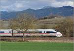 Bahn im Markgräfler Land.