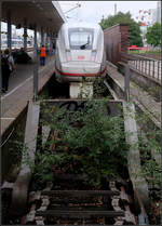 Ein begrünter Prellbock vor modernem Zug -

ICE 4 im Bahnhof Hamburg-Altona.

15.8.2018 (M)