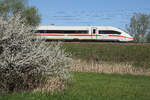 Der Frühling und die Bahn. Triebwagen 9019 am 20.4.2026 bei Vierkirchen.