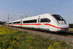 Tz 9015 in der Fr�h am 11.08.2026 bei Vierkirchen.