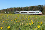Ein ICE 2 Triebwagen 9206 Namens Dessau mit den Sonnenblumen bei Eglharting am 26.09.26.