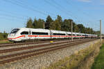 ICE Triebwagen 9029 am 8.9.2026 bei Haspelmoor.	