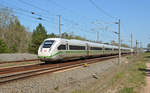 Am 22.04.19 rollte der grüngestreifte ICE 4 als ICE 509 durch Burgkemnitz Richtung Leipzig.